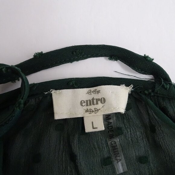 Entro Green Sheer Swiss Dot V-Neck Long Sleeve Blouse Top Women Size L - Picture 4 of 8